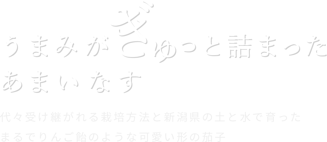 うまみがぎゅっと詰まったあまいなす 代々受け継がれる栽培方法と新潟県の土と水で育った まるでりんご飴のような可愛い形の茄子